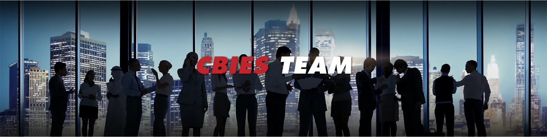 CBIES Team - Auto Parts and Accessories